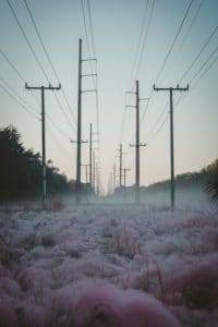 Nationalisation_of_Power Lines_Electric_Poles