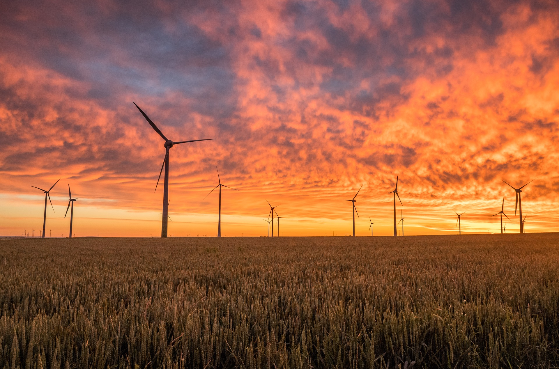 Nationalisation of Power Lines Feature - wind turbines at sunset