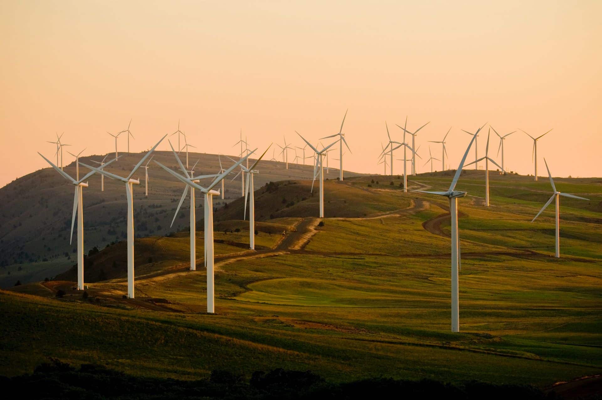 Renewable Energy wind farm - environmental impact of blacksmiths